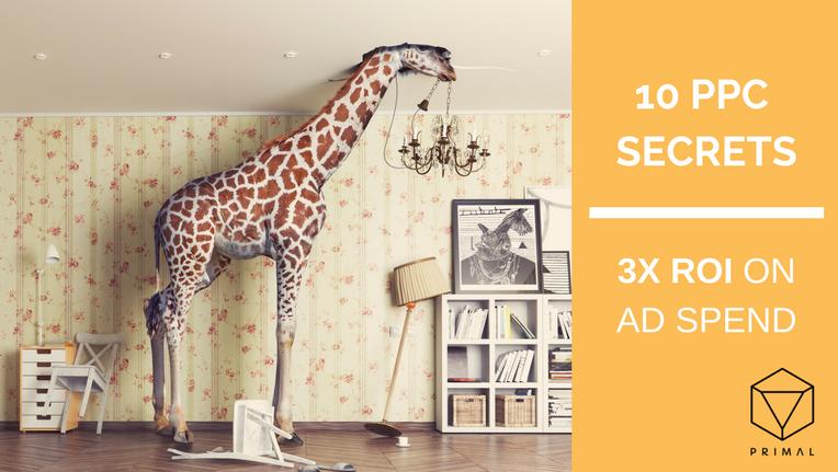 10 PPC Secrets to Max out Your ROI in 2018